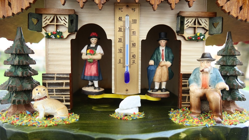 weerhuisje zwarte woud
