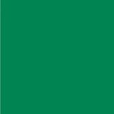 Aslan raamfolie transparant groen RAL 6024 (125cm)_