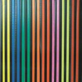 Vliegengordijn stroken gekleurd met zwart 90x200cm