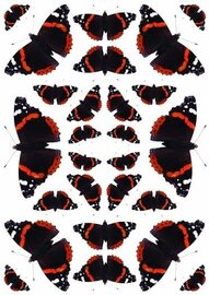 Fietsstickers vlinders zwart-rood