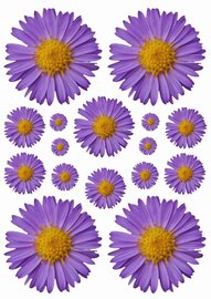 Fietsstickers bloemen paars