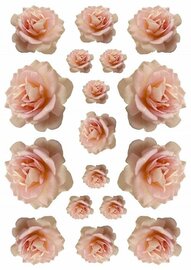 Fietsstickers bloemen rozen zalm