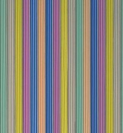 Vliegengordijn pvc zwaar kleuren 90x200cm