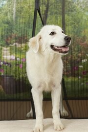 Magneethor 100x220cm zwart