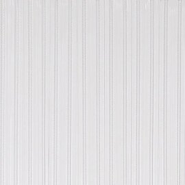 Vliegengordijn pvc zwaar transparant 100x220cm