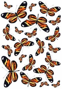 Vlinder fietsstickers kopen? - Presents@home